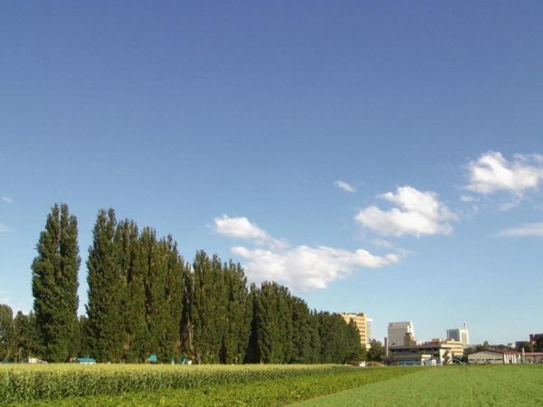 Sapporo Clark Hotel Zewnętrze zdjęcie